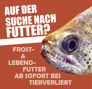 Fischfutter bei tierverliebt