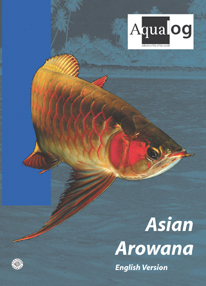 Aqualog Asian Arowana English Version