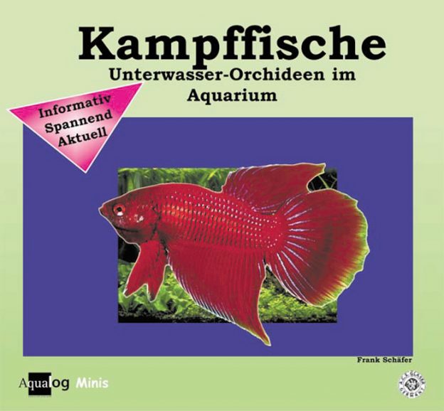 Aqualog Kampffische