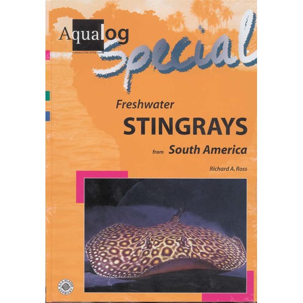 freshwater stingrays from south america_1