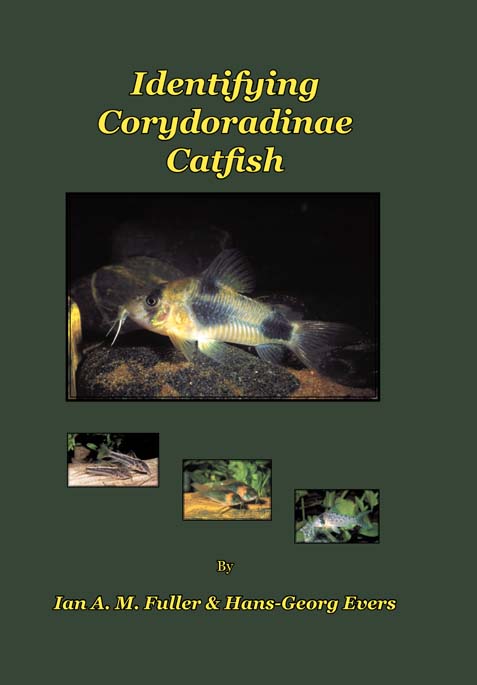 Aqualog Identifying Corydoradinae Catfish