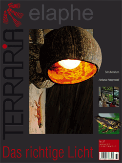 Terraria 37 – Das richtige Licht September/Oktober 2012