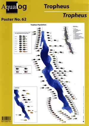 Aqualog Faltposter Tropheus