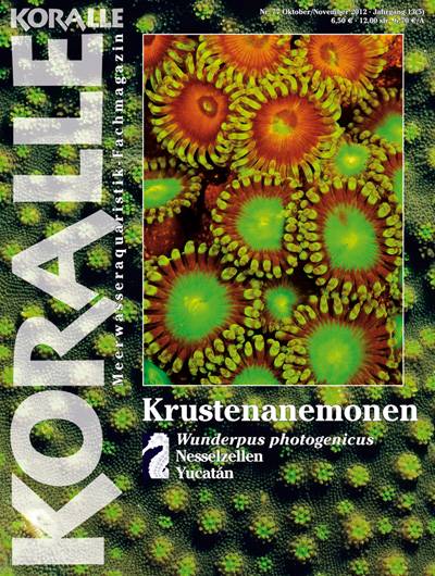 Koralle 77 – Krustenanemonen Okt/Nov 2012