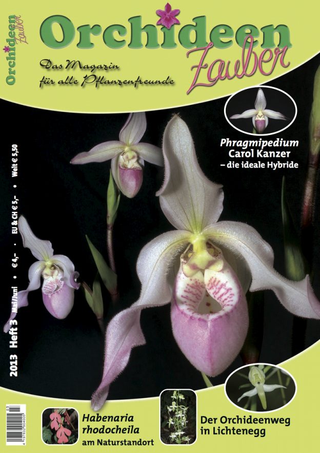 Orchideen Zauber 3 Mai/Juni 2013