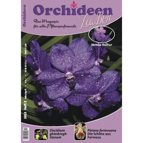 orchideen zauber 2 maerz april 2013