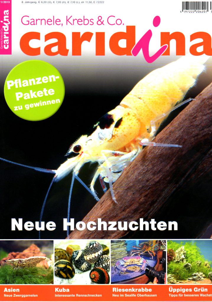 Caridina 1/2013 Aqualog.de
