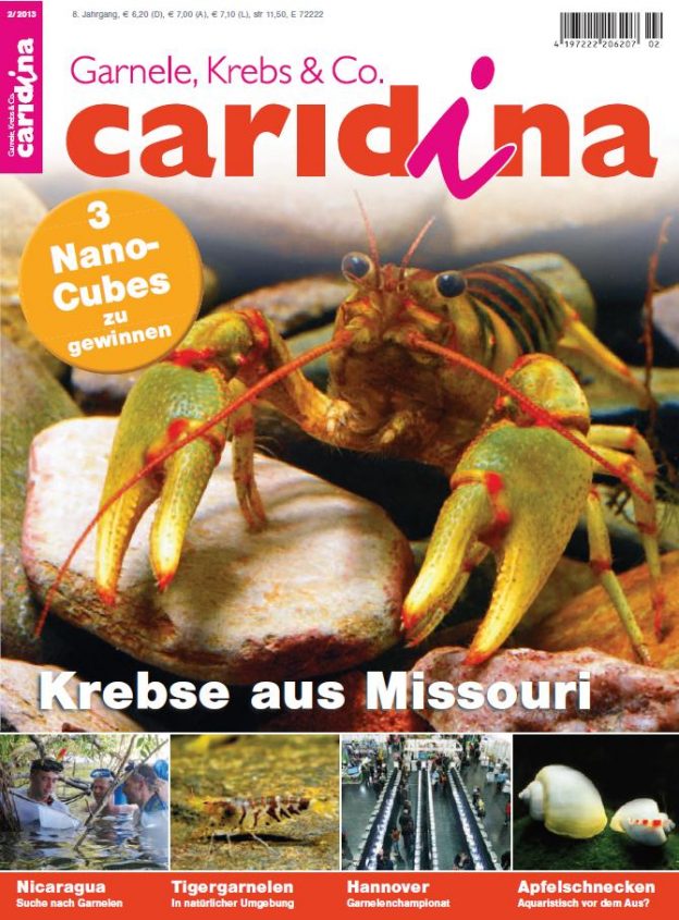 Caridina 2/2013