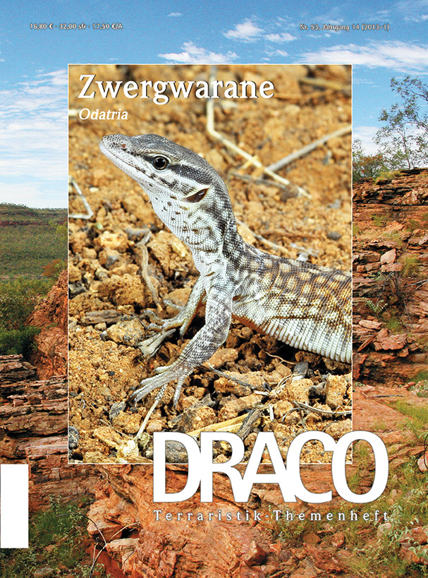 DRACO 53 – Zwergwarane