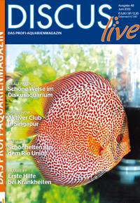 Discus live 48 Juni 2013