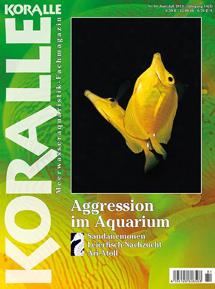 Koralle 81 – Aggression im Aquarium Juni/Juli 2013