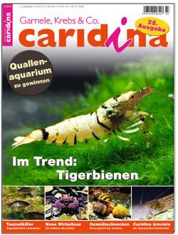 Caridina 3/2013