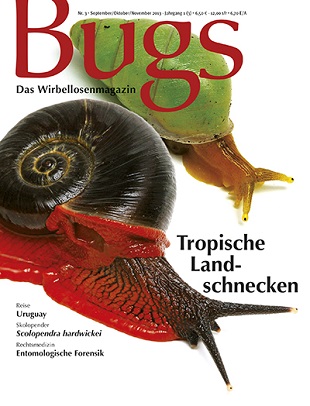 Bugs 3