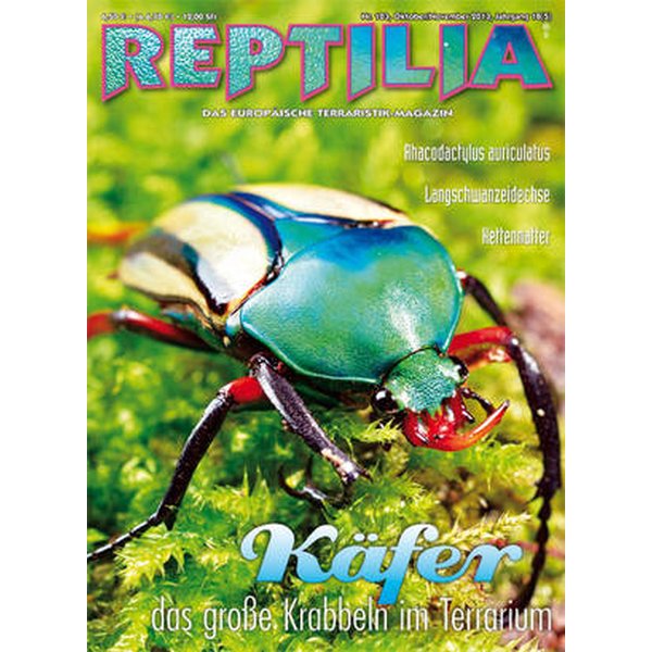 reptilia 103 kaefer oktober 2013