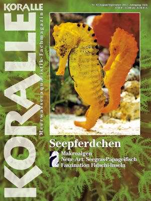 Koralle 82 – Seepferdchen August/September 2013