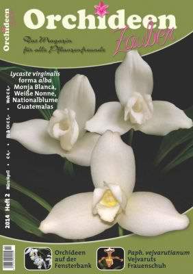 Orchideen Zauber 6 Nov/Dez 2013