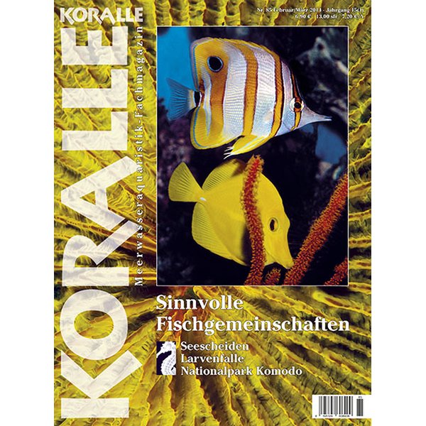 koralle 85 sinnvolle fischgemeinschaften februar maerz 2014