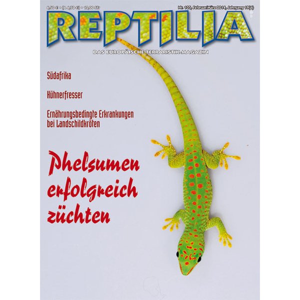reptilia 105 phelsumen erfolgreich zuechten februar maerz 2014
