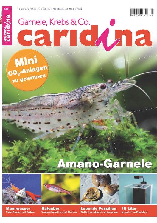 Caridina 1/2014