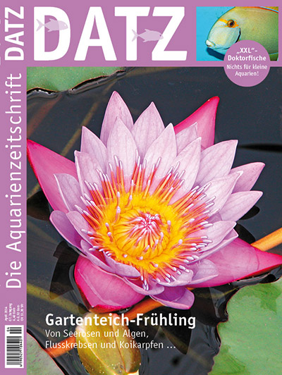 DATZ 4 April 2014