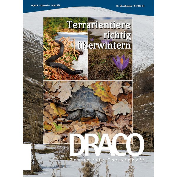 draco 55 terrarientiere richtig ueberwintern 3 2013