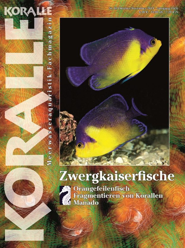 Koralle 89 – Zwergkaiserfische Oktober / November 2014