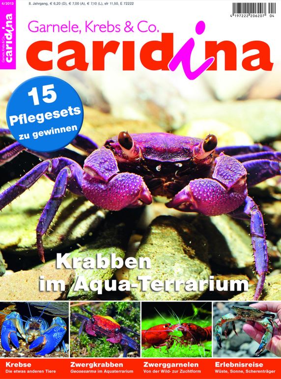 Caridina 4/2013