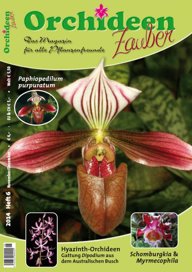 Orchideen Zauber 6 November/Dezember 2014