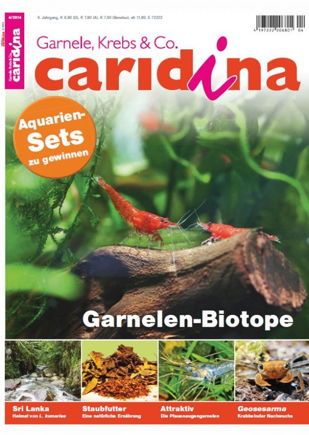 Caridina 4/2014