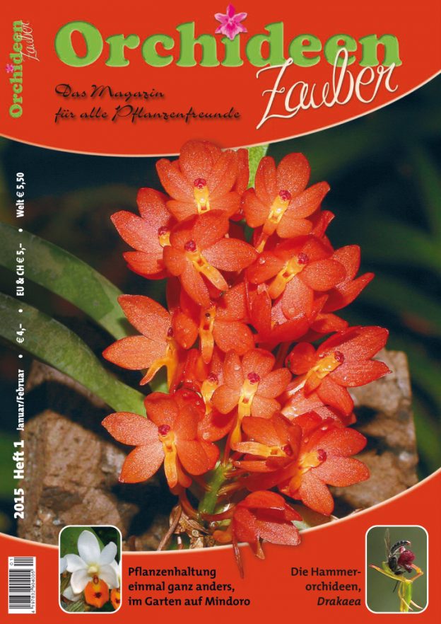 Orchideen Zauber 1 Januar/Februar 2015