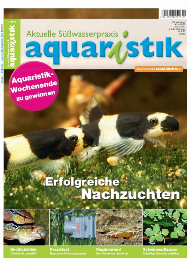 Aquaristik/Aquarium live 1/2015