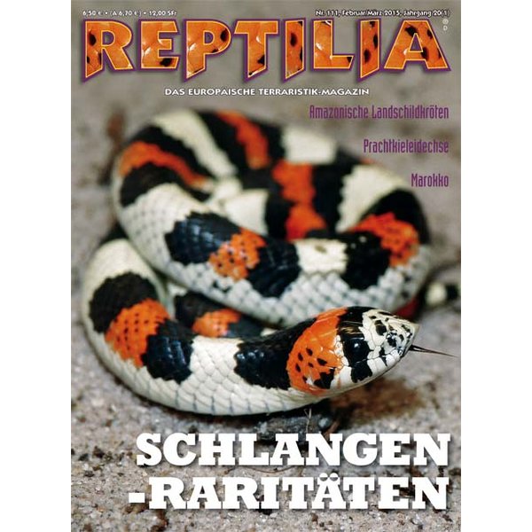 reptilia 111 schlangen raritaeten februar maerz 2015