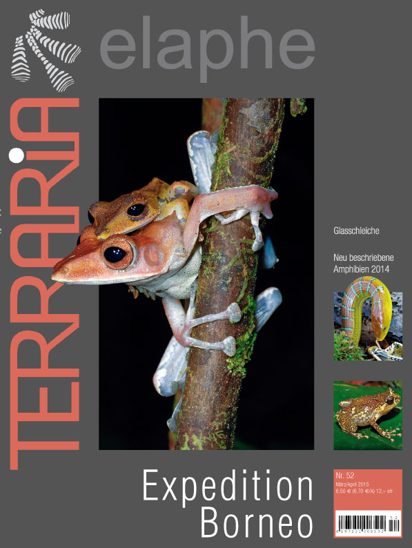 Terraria 52 – Expedition Borneo