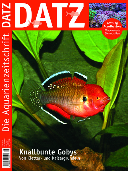 DATZ 4 April 2015