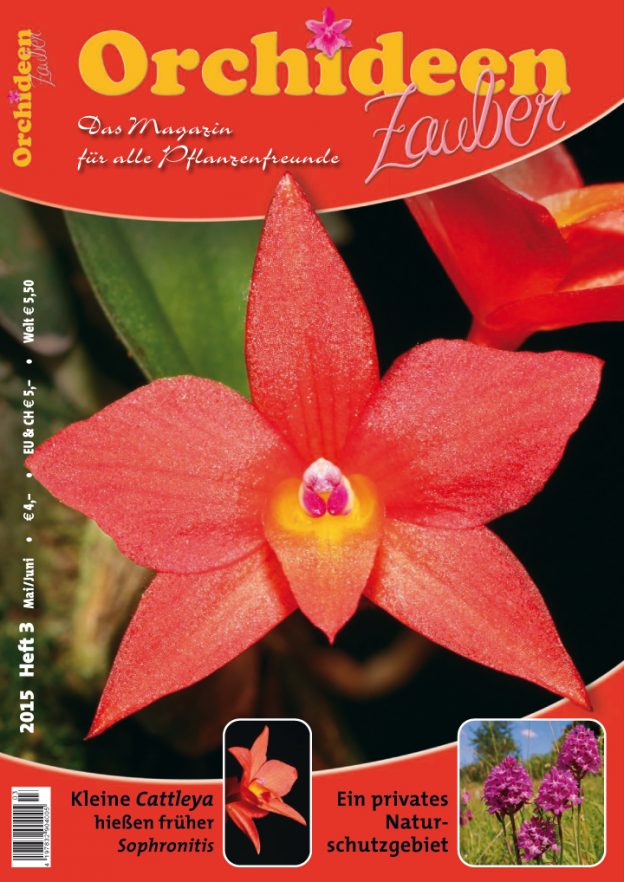 Orchideen Zauber 3 Mai/Juni 2015