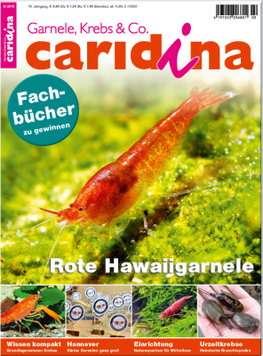 Caridina 2/2015