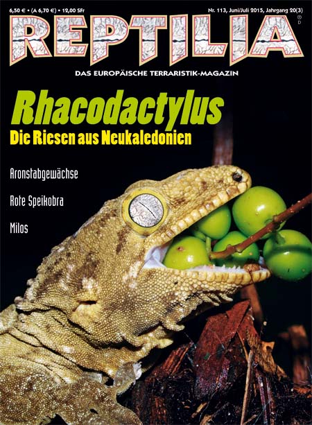 Reptilia 113 – Rhacodactylus Juni/Juli 2015