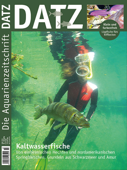 DATZ 7 Juli 2015