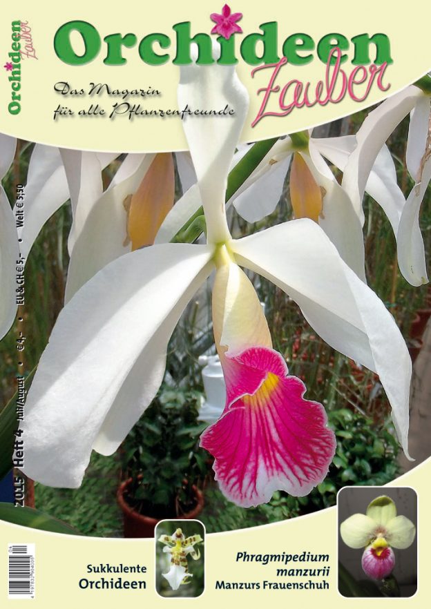 Orchideen Zauber 4 Juli/August 2015