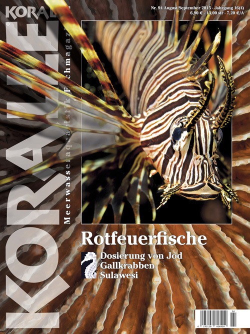 Koralle 94 – Rotfeuerfische August/September 2015