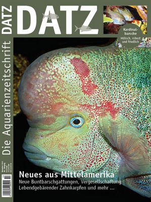 DATZ 11 – (November 2015)