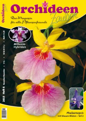 Orchideen Zauber 6 (November/Dezember 2015)