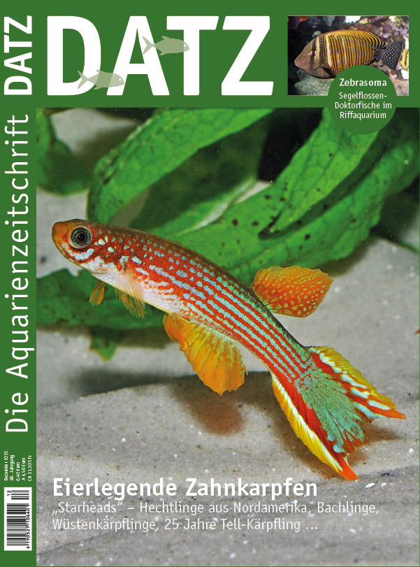 DATZ 12 – Dezember 2015