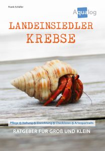 Landeinsiedlerkrebse cover