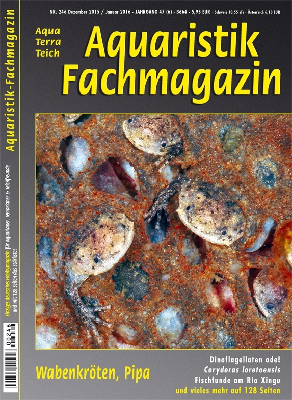 Aquaristik Fachmagazin 246 (Dezember 2015/Januar 2016)