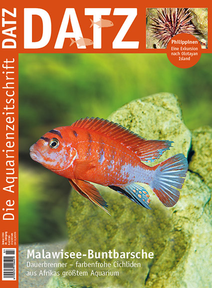 DATZ 13 – Januar 2016