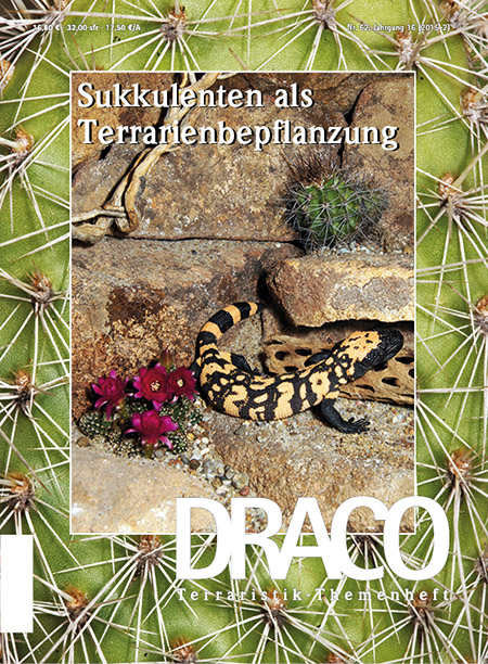 DRACO 62 – Sukkulenten als Terrarienbepflanzung
