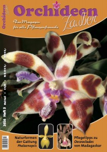 Orchideen Zauber Mai Juni 2016