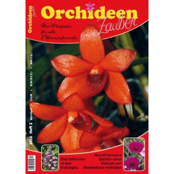 orchideen zauber 2 maerz april 2016