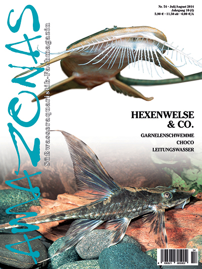 Amazonas 54 - Hexenwelse und Co. ( Juli/August 2014)